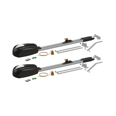 Set 2 rails à chaîne de 3 mètres avec moteur de 650N avec centrale de commande, support et accessoires