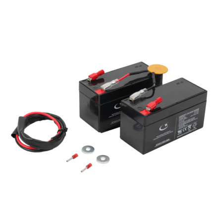 AJ01600 – Batterie pour SNAPPER